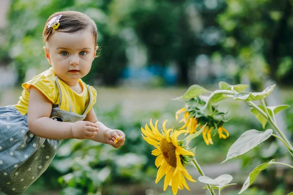 7个月大的婴儿抱着向日葵花瓣 看着相机 — 图库照片
