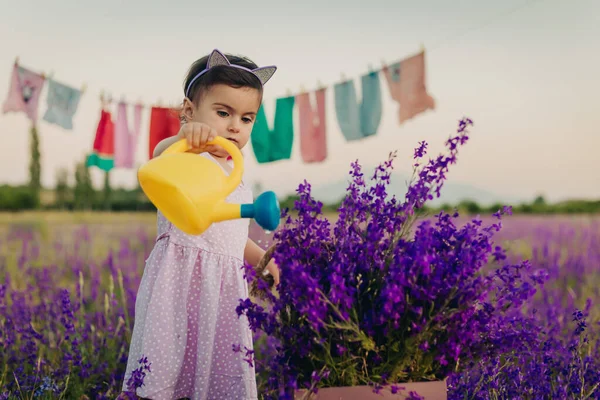 站在薰衣草地里 用黄色塑料浇花浇灌的小女孩的画像 — 图库照片