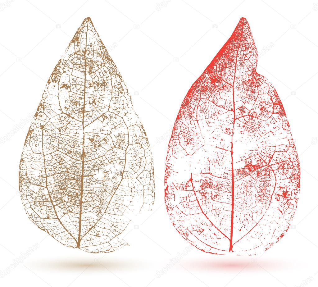 Leaf detail abstract vector illustration.