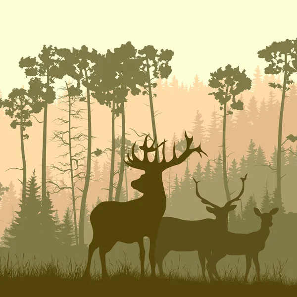 Square illustration of wild elk on edge of forest. — Stock Vector