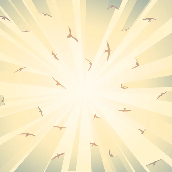 Square illustration flock birds in rays of sun. — Stock Vector