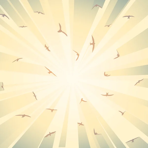 Illustration carrée oiseaux de troupeau dans les rayons du soleil . — Image vectorielle