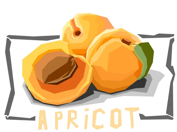 Vector enkel illustration av frukt aprikoser. — Stock vektor