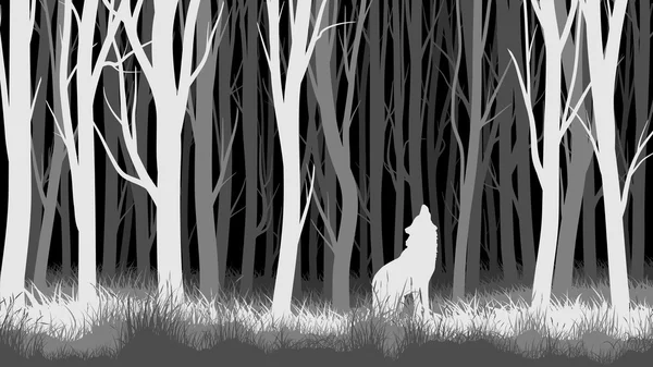 Horizontal illustration of night forest with wolf. — Stock Vector