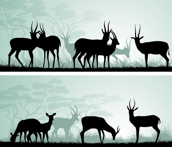 Bannières horizontales larges d'antilopes sauvages dans la savane africaine . — Image vectorielle