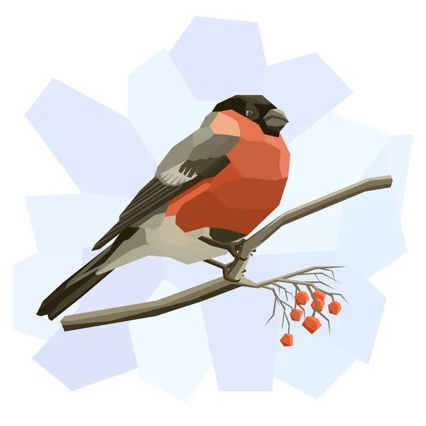 Vector simple illustration of bullfinch. — Stock Vector