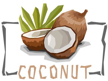 Hindistan cevizi vektör basit çizim.