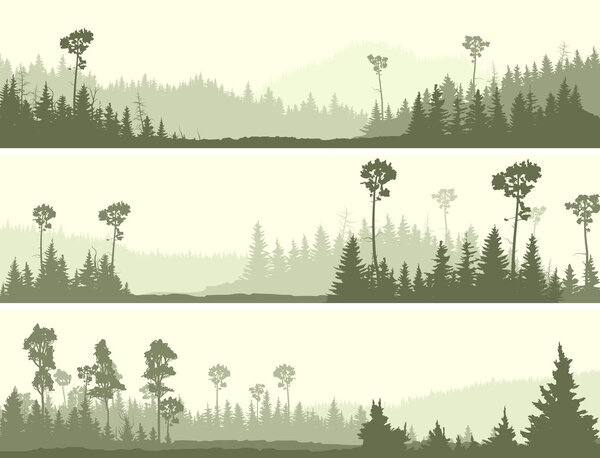 Horizontal banners of wild coniferous wood with glade.