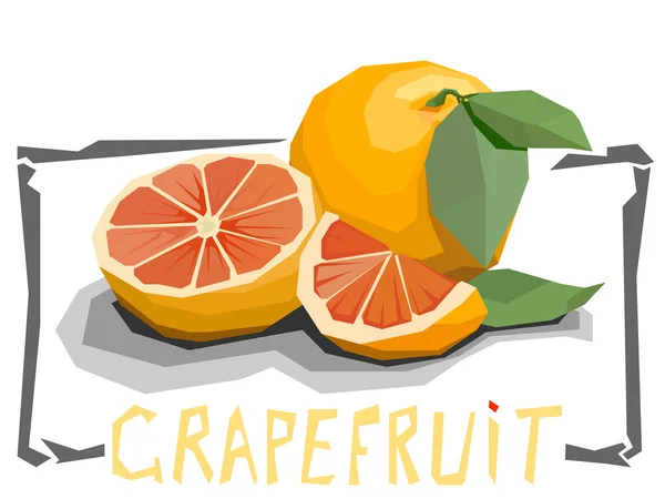 De eenvoudige vectorillustratie van grapefruit. — Stockvector