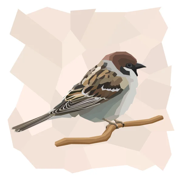 Vector simple illustration of sparrow bird. — Stock Vector