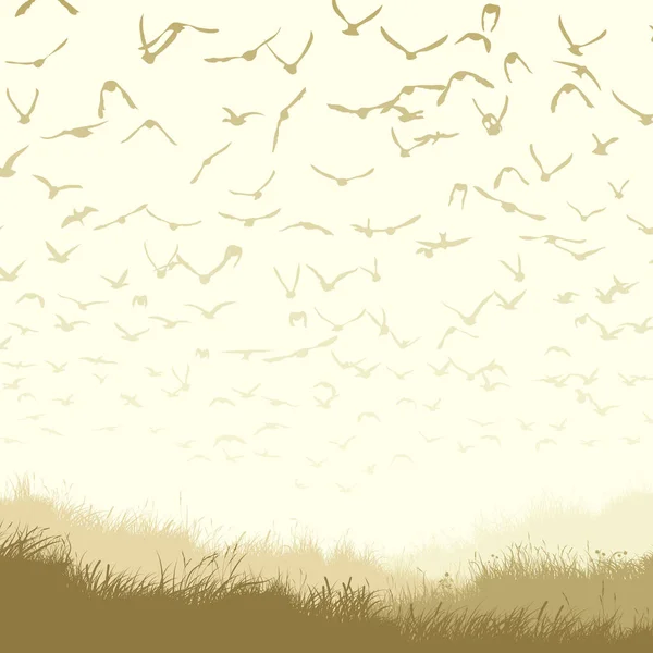 Illustration Couleur Pastel Carrée Troupeau Oiseaux Volant Dessus Herbes Prairie — Image vectorielle