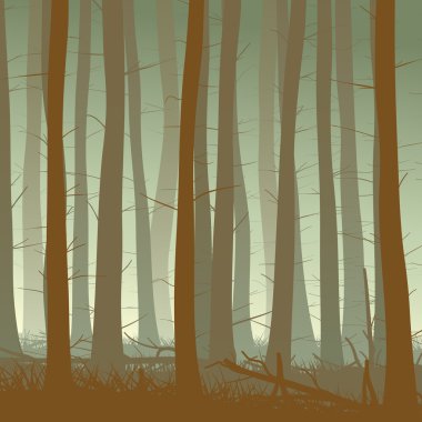 puslu iğne yapraklı orman kare gösteren resim.