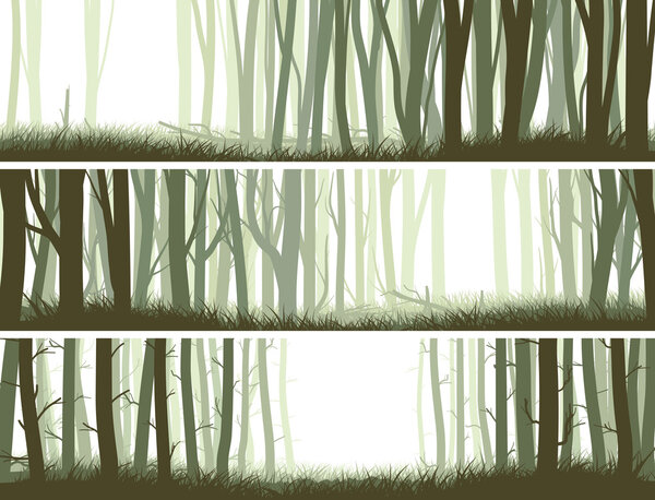Horizontal banners forest with trunks of trees.