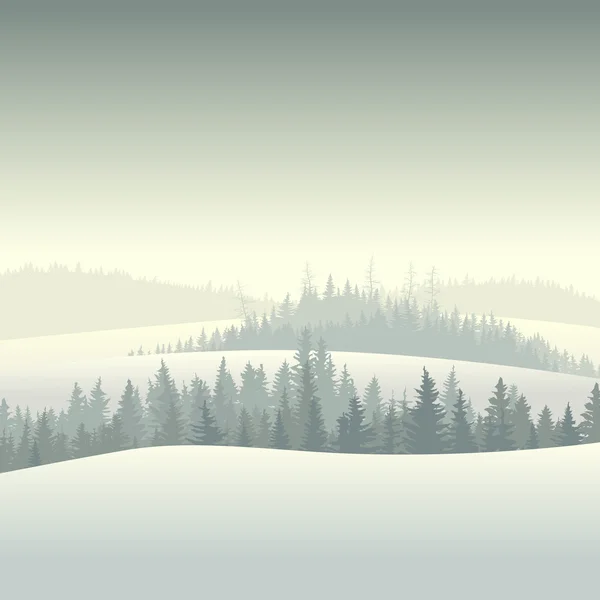 Τα κωνοφόρα δάση χειμώνα το πρωί. — Διανυσματικό Αρχείο