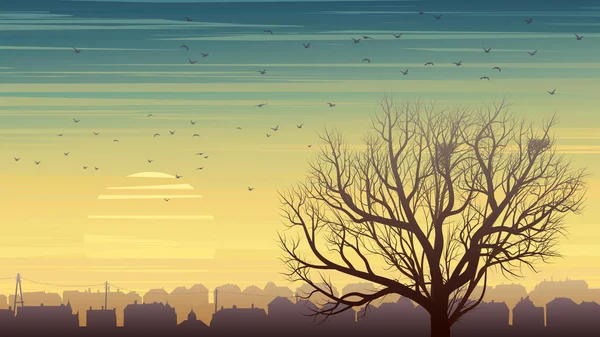 Árbol solitario con pájaros en el fondo de la ciudad al atardecer . — Vector de stock