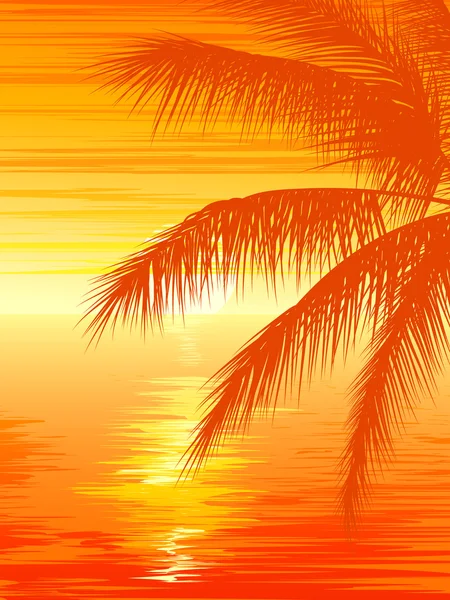 Ilustração do pôr do sol no oceano com palmeira . — Vetor de Stock