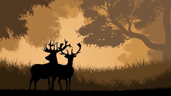 Illustration horizontale des animaux sauvages dans le bois . — Image vectorielle