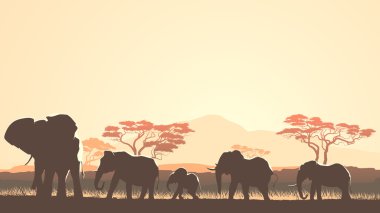vahşi hayvanlar Afrika günbatımı savann yatay çizimi