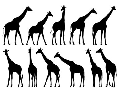 Zürafalar Vector silhouettes ayarla.