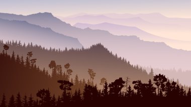 Alacakaranlık illüstrasyon forest Hills.