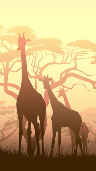 Ilustración vertical de jirafas silvestres en la sabana africana del atardecer — Vector de stock