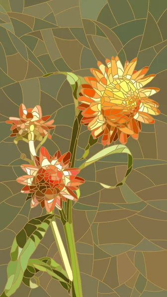 Vector illustration of flowers yellow Helichrysum.
