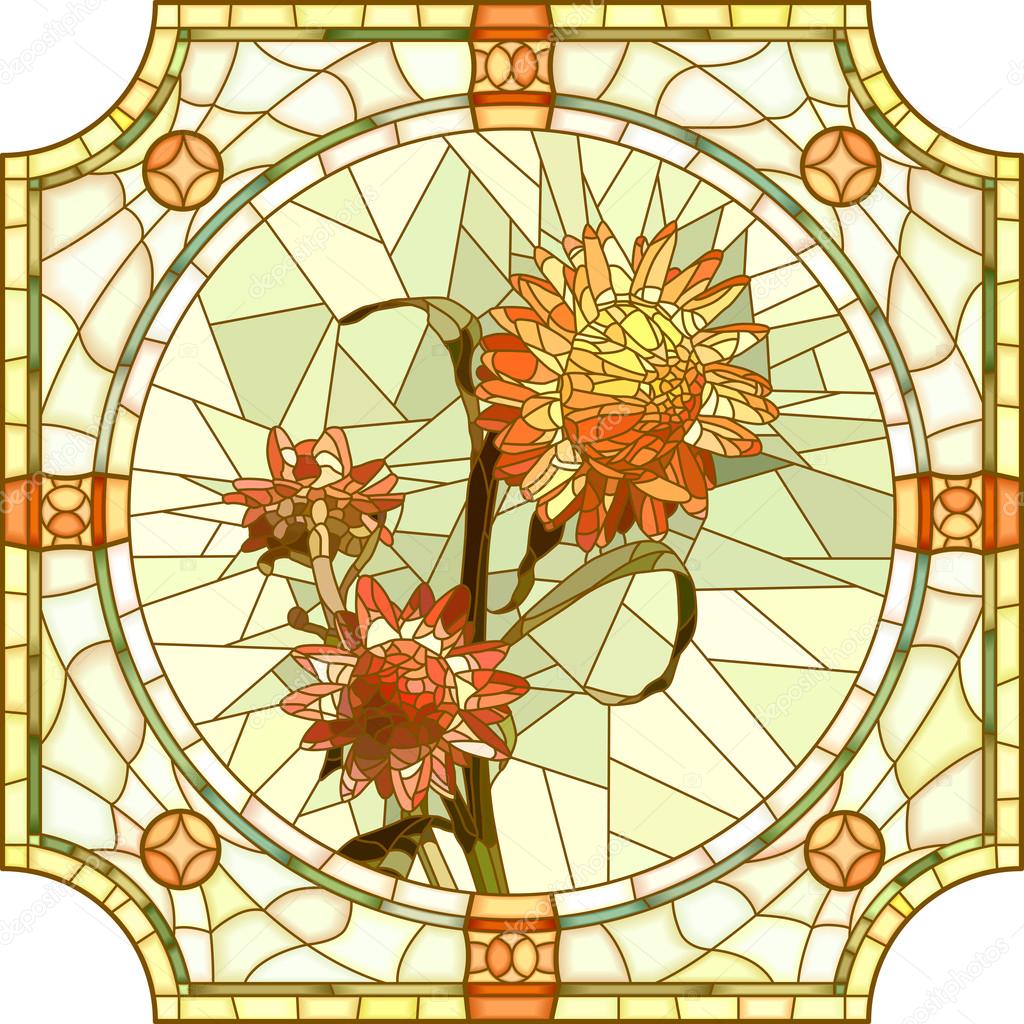 Vector illustration of flower orange immortelle.