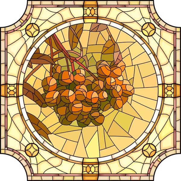 Vector illustration of flower orange rowan branch with berries. — Stock Vector