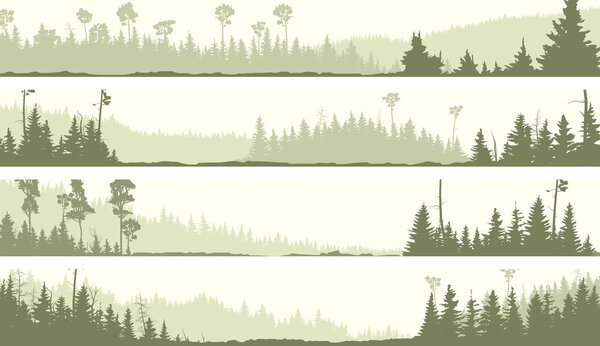 Vector banners of misty coniferous forest with glades