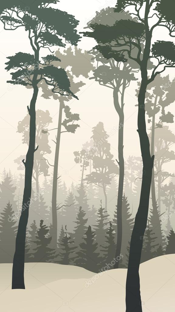 Vertical illustration of winter forest with tall pines.