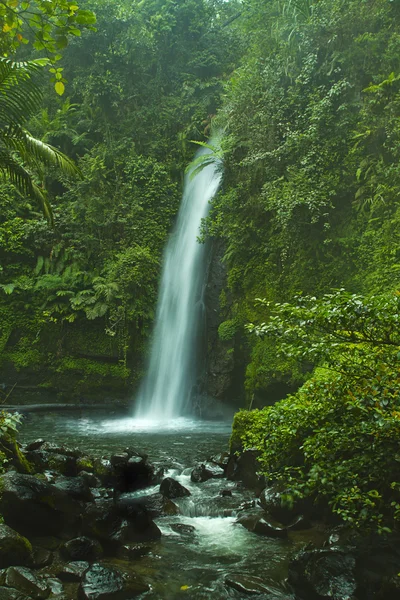 所有路经印尼风景 — 图库照片