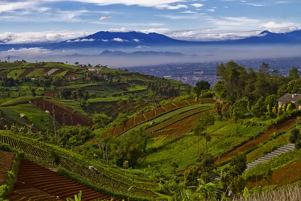 Güzel Endonezya manzaralar
