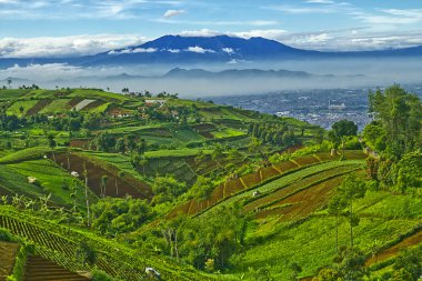 Beautiful Indonesian landscapes clipart