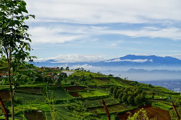 Beautiful Indonesian landscapes — Stock Photo, Image