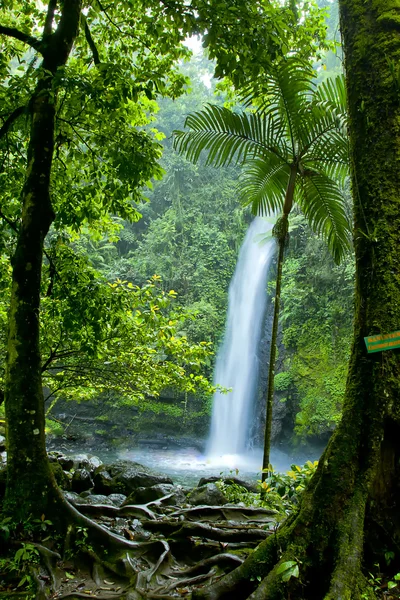 Bellissimi paesaggi indonesiani — Foto Stock