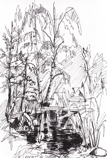 Instant sketch, pond — Stock Photo, Image