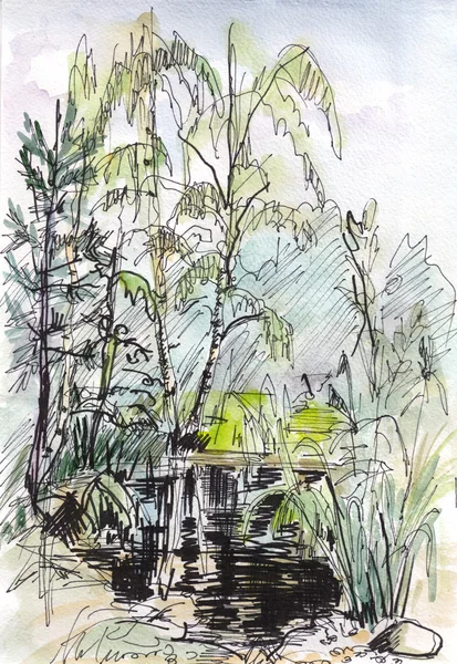 인스턴트 스케치, 연못 — 스톡 사진