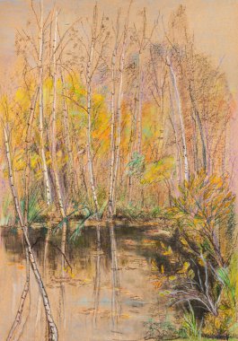 Sonbahar manzarası, göl kenarındaki sarı huş ağaçları