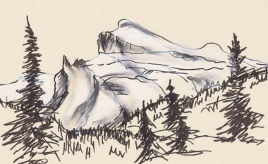 Rocky Dağları 'ndaki karlı tepelerin arka planında ladin