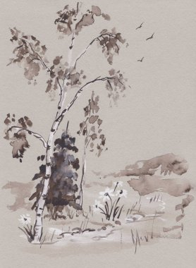 Kırsal yol yakınlarında yüksek huş ağacı ve ladin ağacı