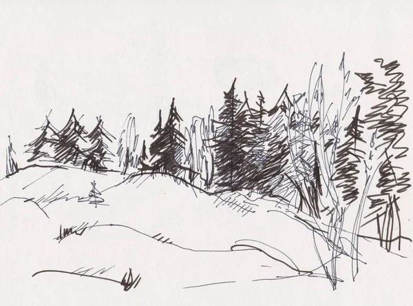 Anında çizim, tepelerde kozalaklı ahşap, siyah beyaz resim.