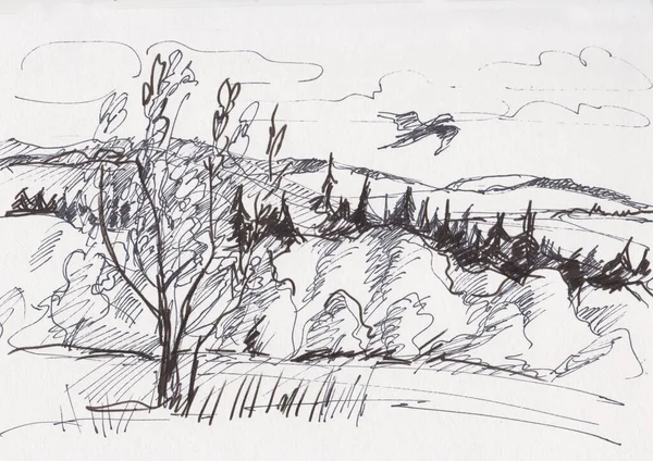 instant sketch, mixed forest on hills, summer