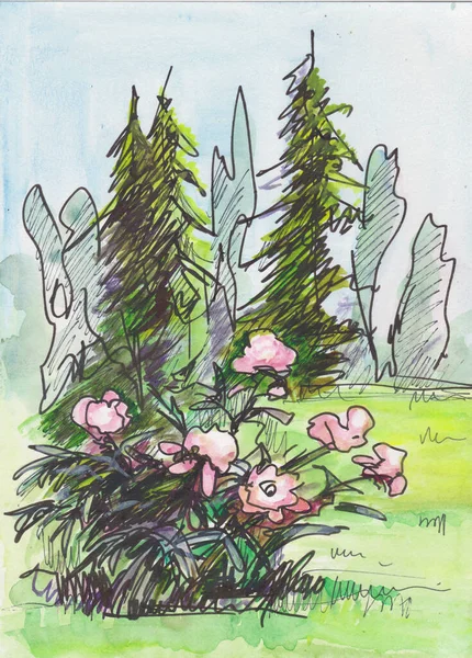 Croquis Instantané Pione Rose Près Forêt Stylo Aquarelle — Photo