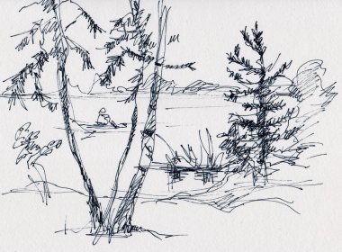 Nehir kıyısında huş ağacı, ladin ve çam ağaçları