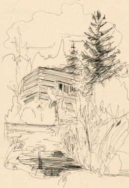 Çam ağaçları ve göl kıyısındaki ev