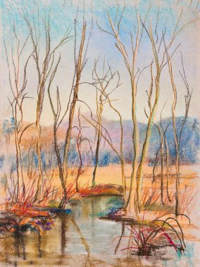 ağaçlar yakın göl