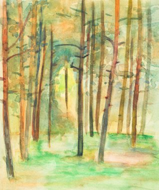 Pines güneşli gün