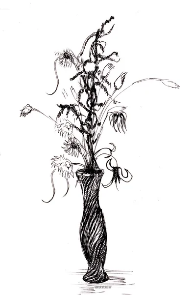Bukiet z suchych roślin — Zdjęcie stockowe