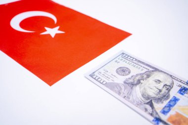 ABD Doları Mali Kavramlı Türkiye Bayrağı