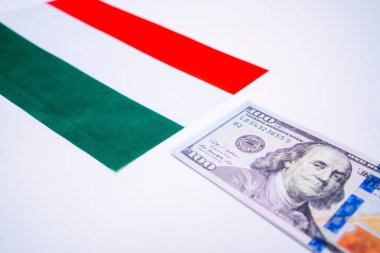 Macaristan Bayrağı ve ABD Doları Mali Konsepti